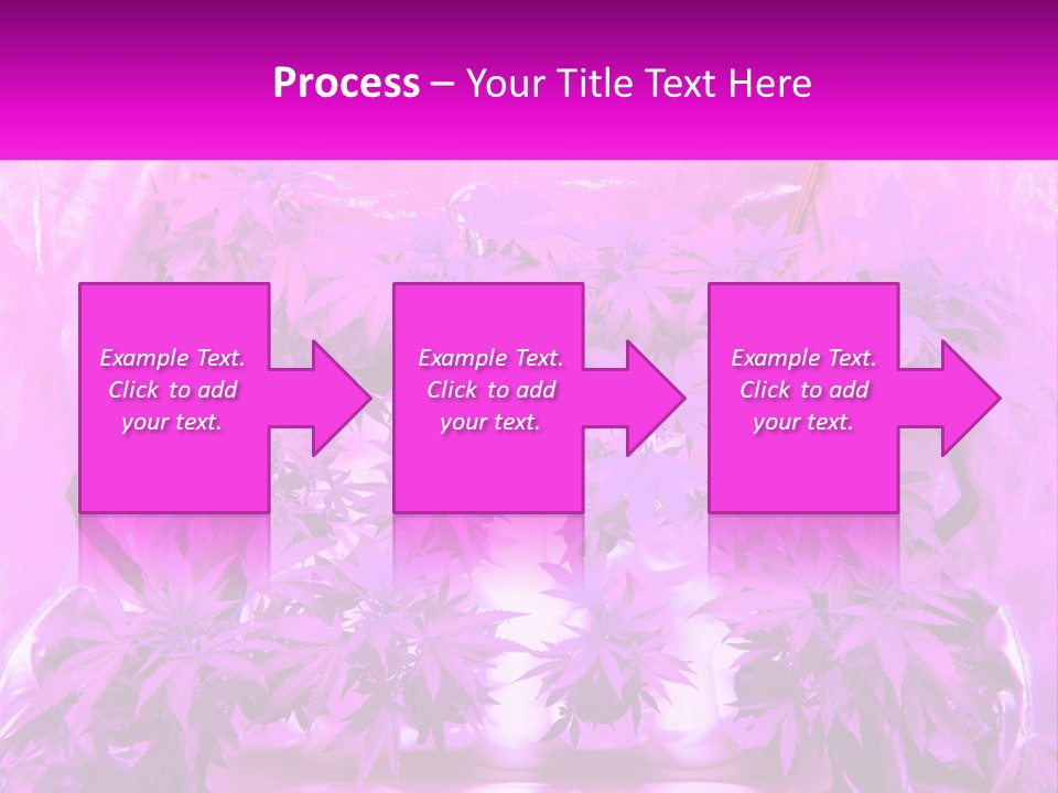 A Picture Of A Plant With Purple Leaves PowerPoint Template