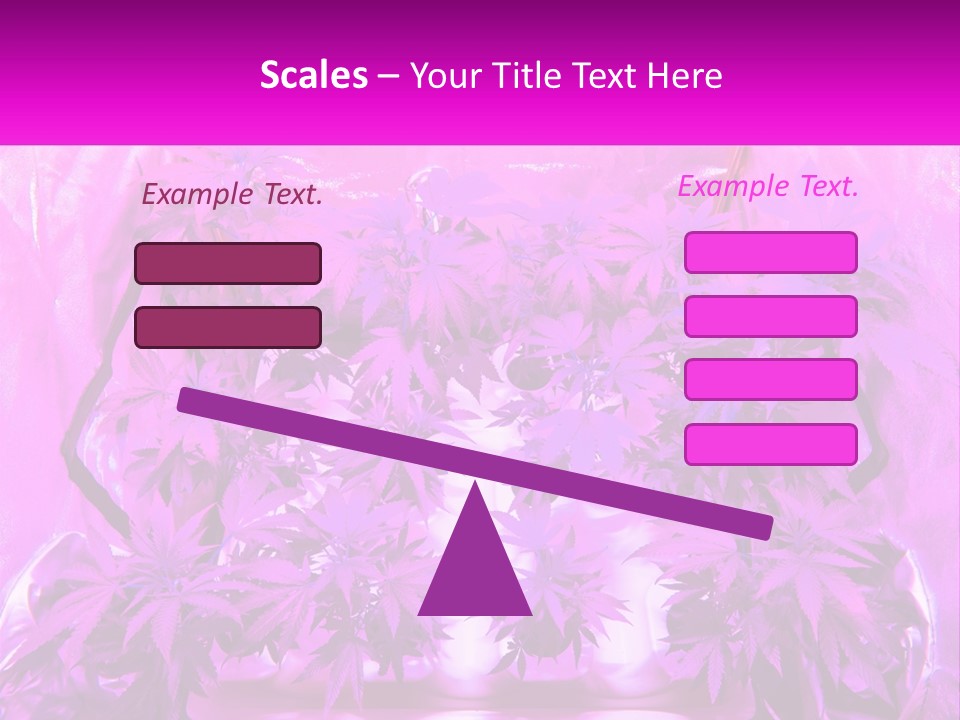 A Picture Of A Plant With Purple Leaves PowerPoint Template
