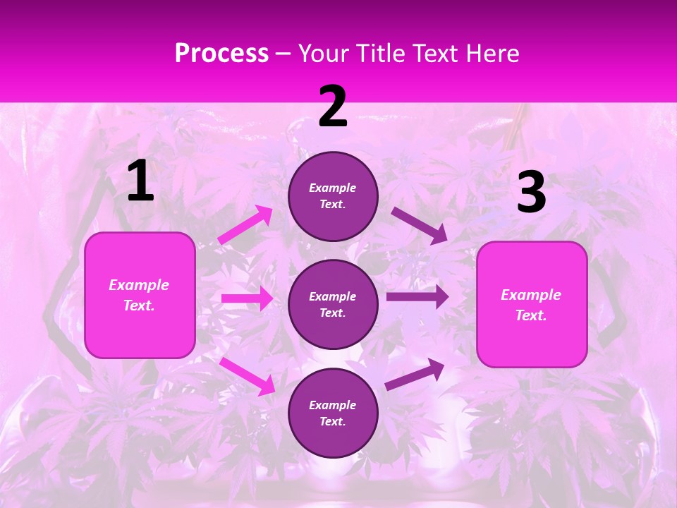 A Picture Of A Plant With Purple Leaves PowerPoint Template