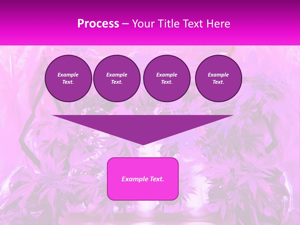 A Picture Of A Plant With Purple Leaves PowerPoint Template