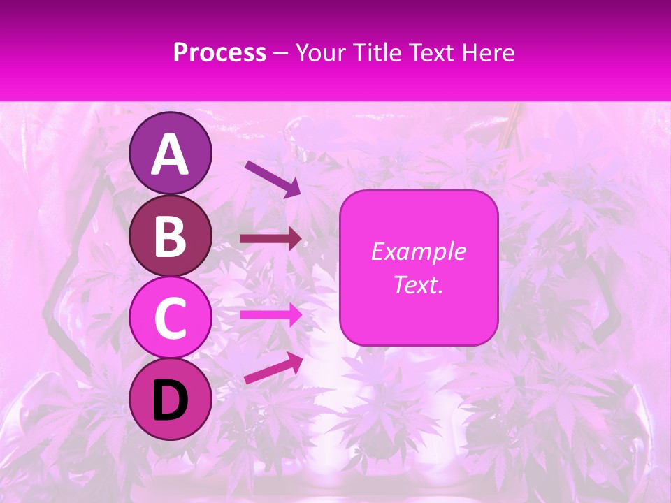 A Picture Of A Plant With Purple Leaves PowerPoint Template