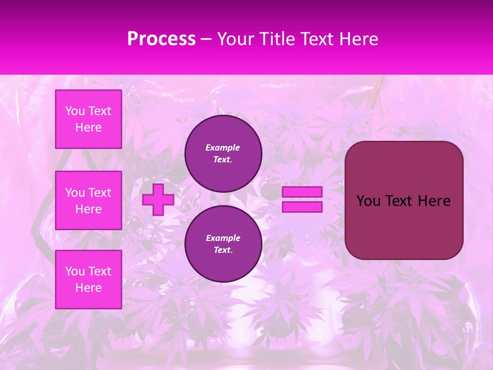 A Picture Of A Plant With Purple Leaves PowerPoint Template