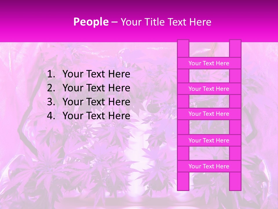 A Picture Of A Plant With Purple Leaves PowerPoint Template