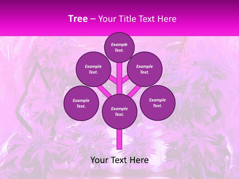 A Picture Of A Plant With Purple Leaves PowerPoint Template