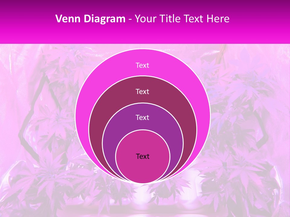 A Picture Of A Plant With Purple Leaves PowerPoint Template