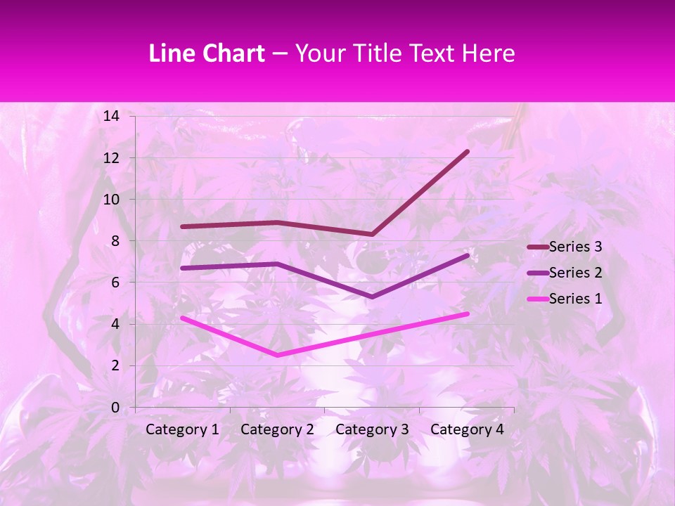 A Picture Of A Plant With Purple Leaves PowerPoint Template