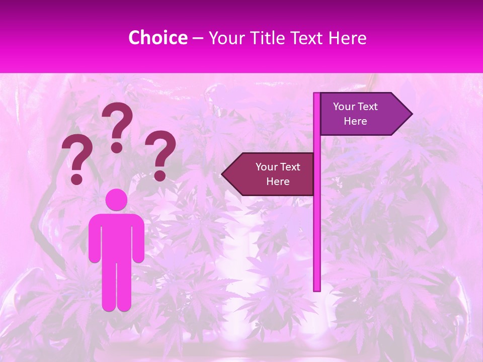 A Picture Of A Plant With Purple Leaves PowerPoint Template