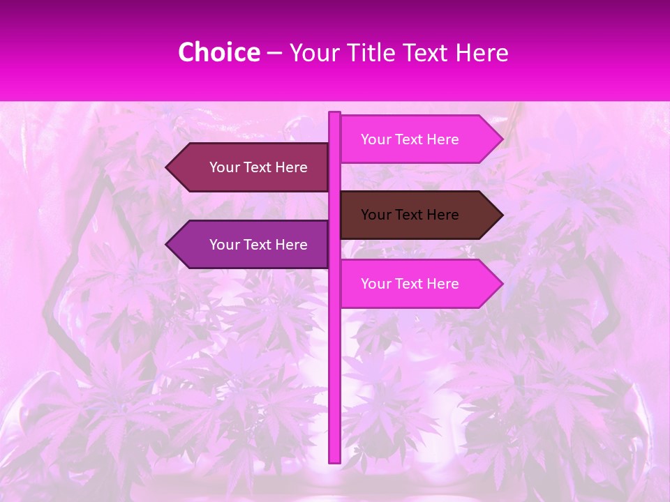 A Picture Of A Plant With Purple Leaves PowerPoint Template