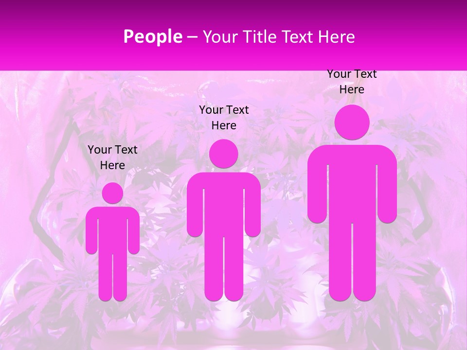 A Picture Of A Plant With Purple Leaves PowerPoint Template