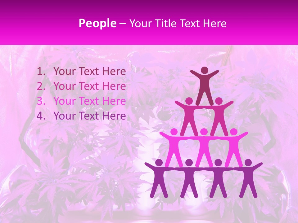 A Picture Of A Plant With Purple Leaves PowerPoint Template