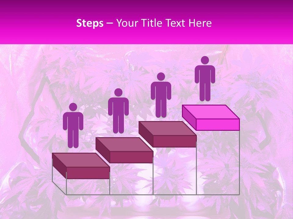 A Picture Of A Plant With Purple Leaves PowerPoint Template