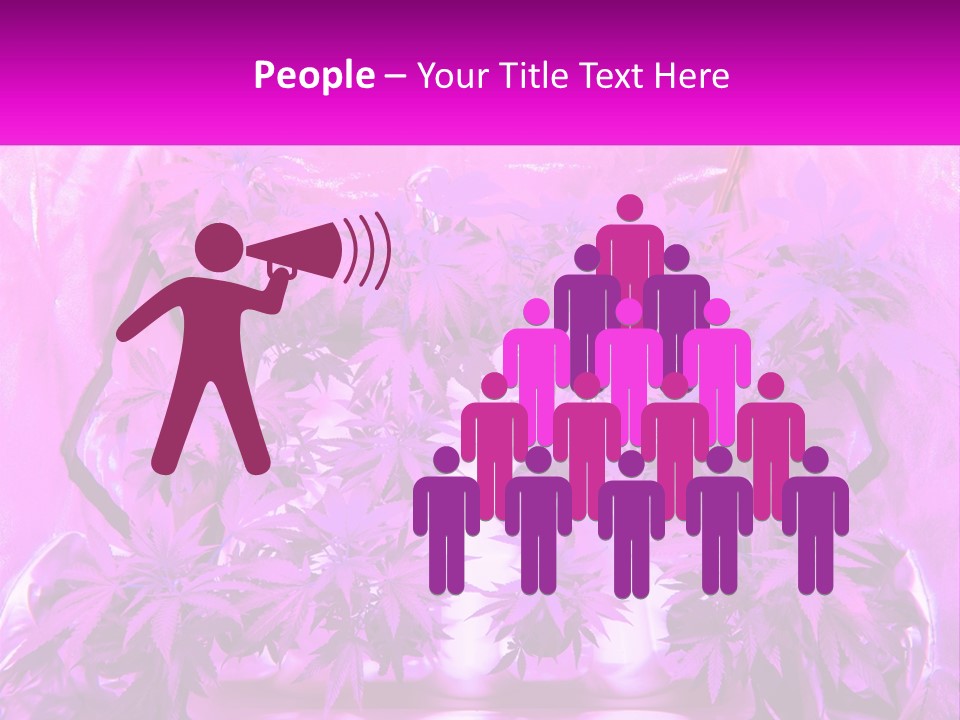 A Picture Of A Plant With Purple Leaves PowerPoint Template