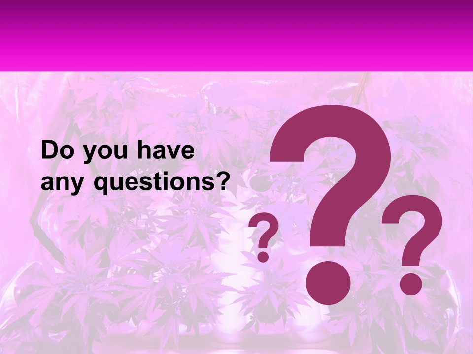 A Picture Of A Plant With Purple Leaves PowerPoint Template