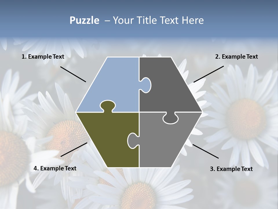 A Bunch Of White Daisies With A Yellow Center PowerPoint Template