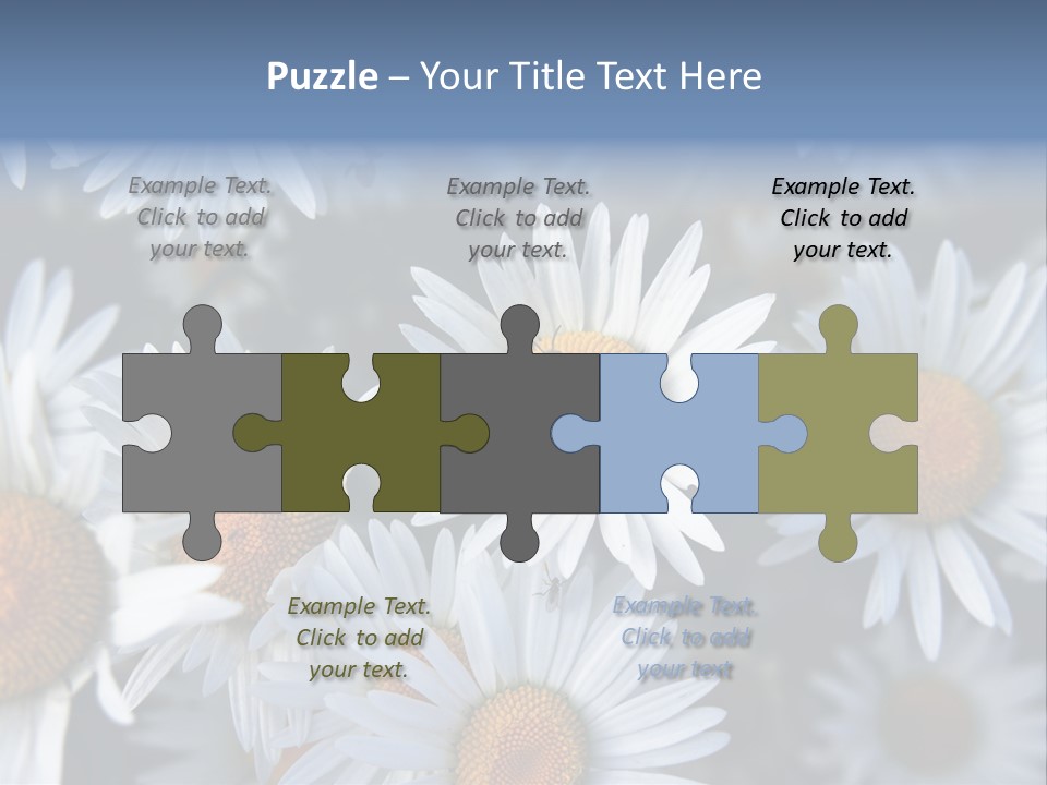 A Bunch Of White Daisies With A Yellow Center PowerPoint Template