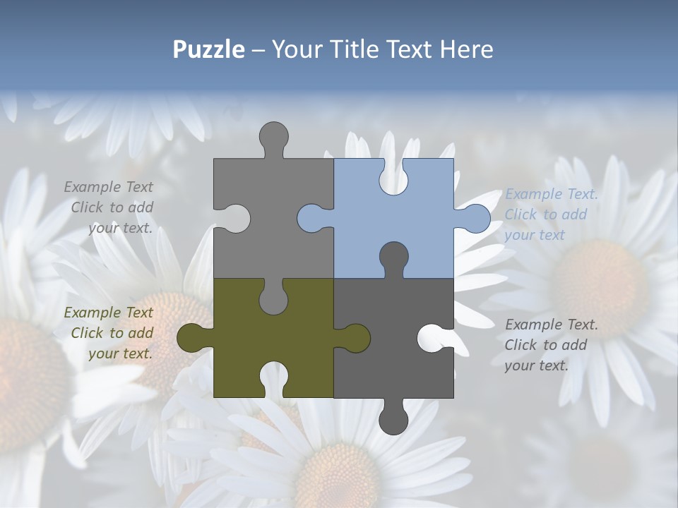 A Bunch Of White Daisies With A Yellow Center PowerPoint Template