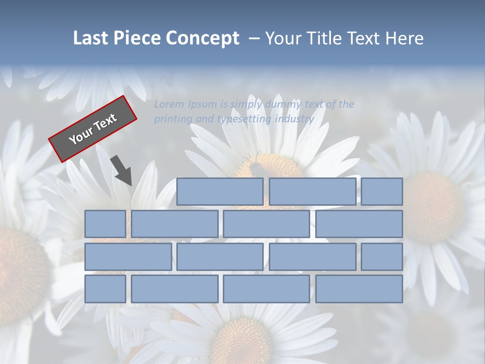 A Bunch Of White Daisies With A Yellow Center PowerPoint Template