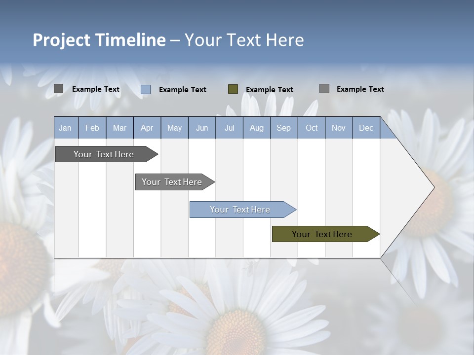 A Bunch Of White Daisies With A Yellow Center PowerPoint Template
