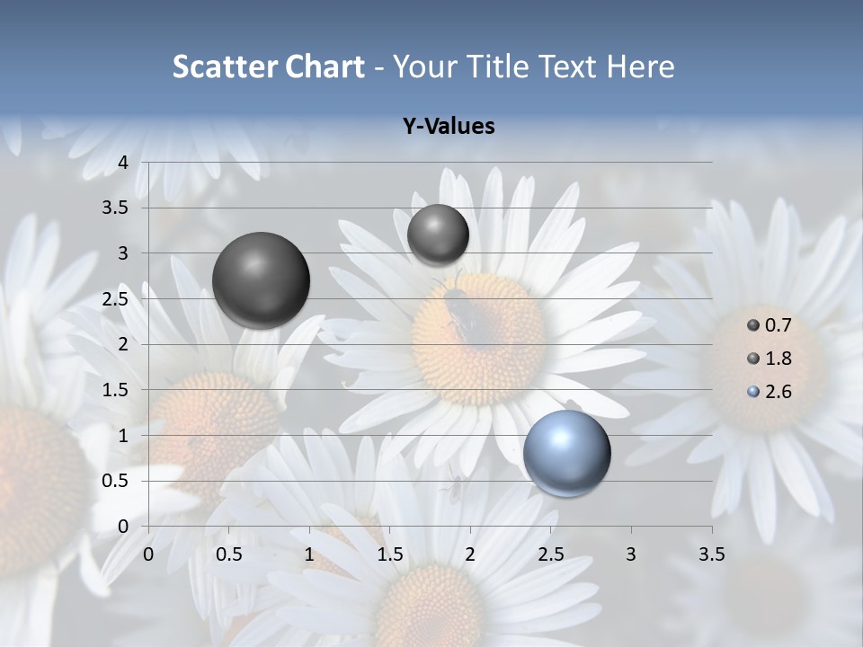 A Bunch Of White Daisies With A Yellow Center PowerPoint Template