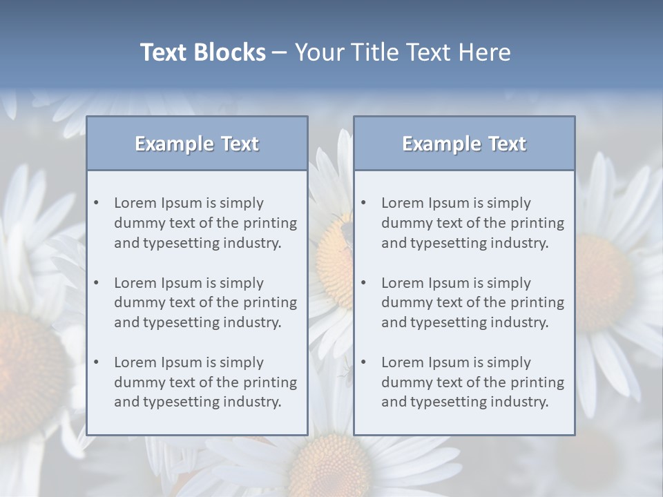 A Bunch Of White Daisies With A Yellow Center PowerPoint Template