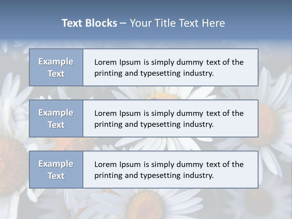 A Bunch Of White Daisies With A Yellow Center PowerPoint Template