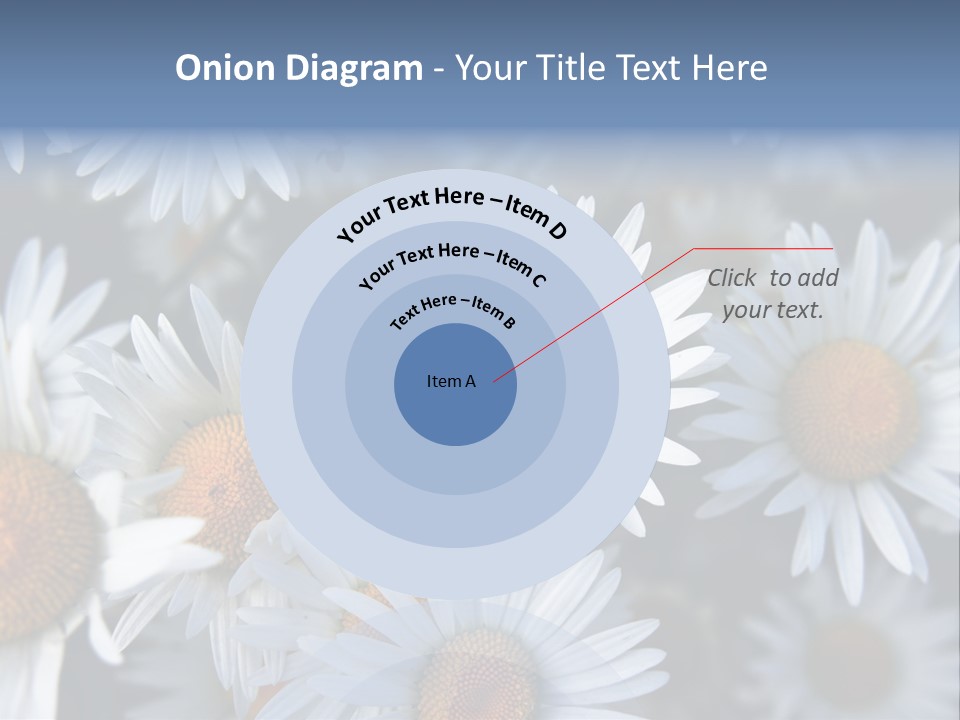 A Bunch Of White Daisies With A Yellow Center PowerPoint Template