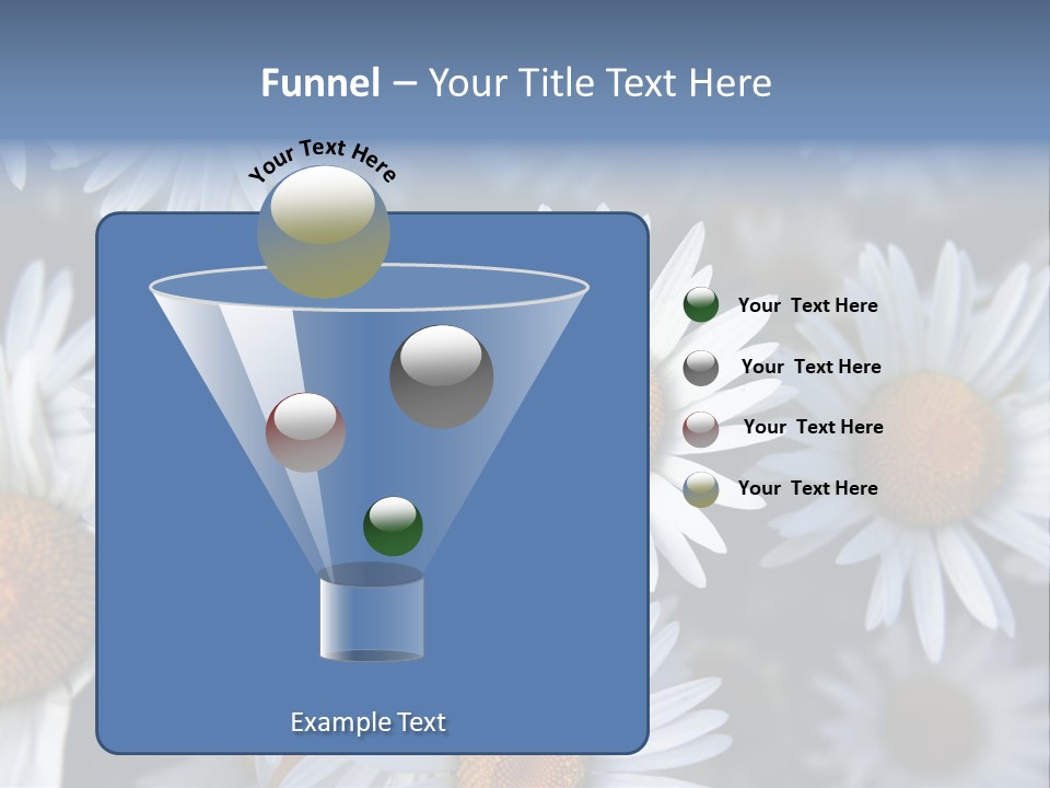 A Bunch Of White Daisies With A Yellow Center PowerPoint Template