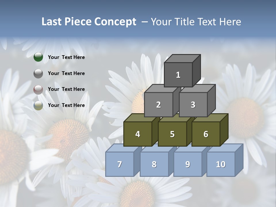 A Bunch Of White Daisies With A Yellow Center PowerPoint Template