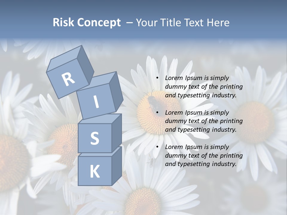 A Bunch Of White Daisies With A Yellow Center PowerPoint Template