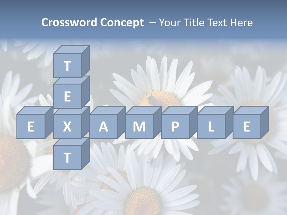 A Bunch Of White Daisies With A Yellow Center PowerPoint Template