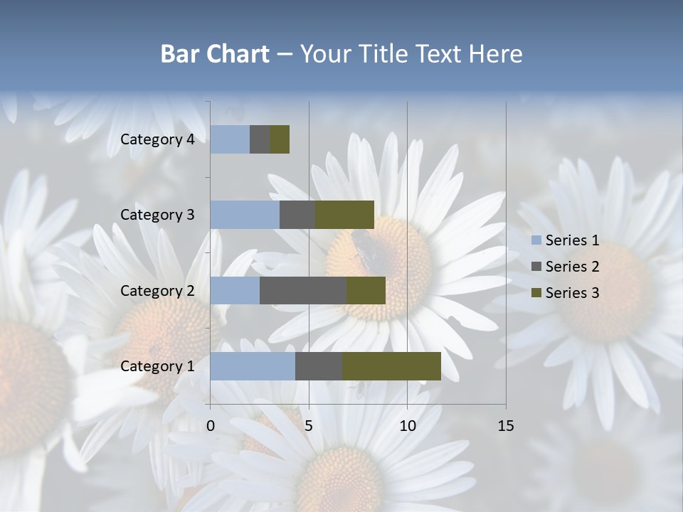 A Bunch Of White Daisies With A Yellow Center PowerPoint Template