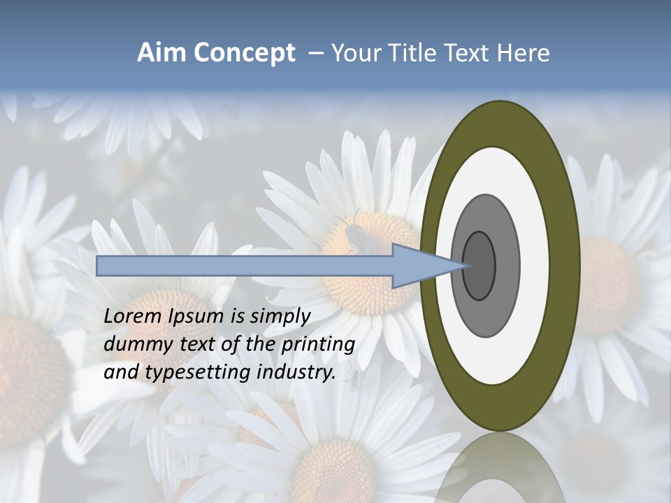 A Bunch Of White Daisies With A Yellow Center PowerPoint Template