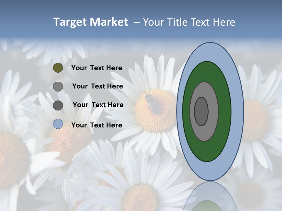 A Bunch Of White Daisies With A Yellow Center PowerPoint Template