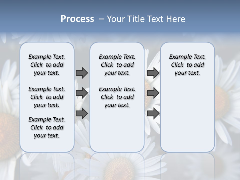 A Bunch Of White Daisies With A Yellow Center PowerPoint Template