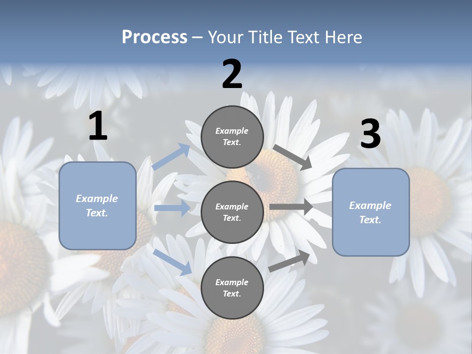 A Bunch Of White Daisies With A Yellow Center PowerPoint Template