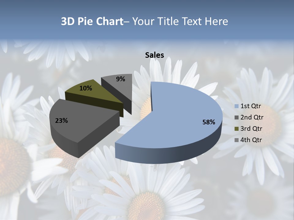 A Bunch Of White Daisies With A Yellow Center PowerPoint Template