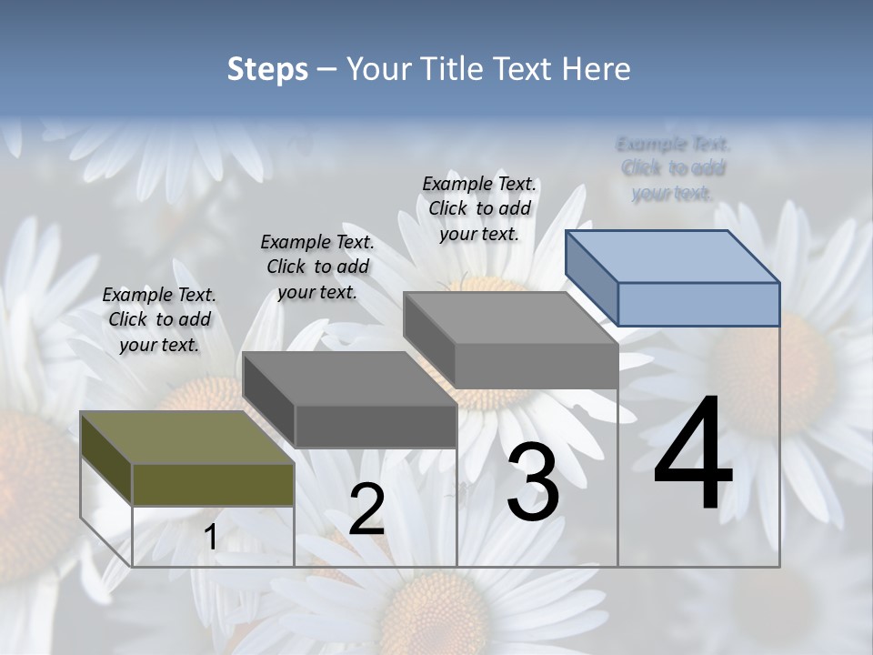 A Bunch Of White Daisies With A Yellow Center PowerPoint Template