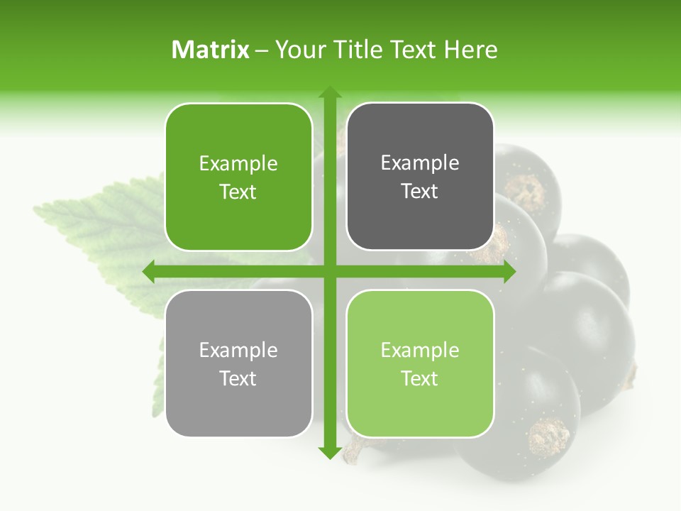 A Bunch Of Black Berries With Leaves On A White Background PowerPoint Template