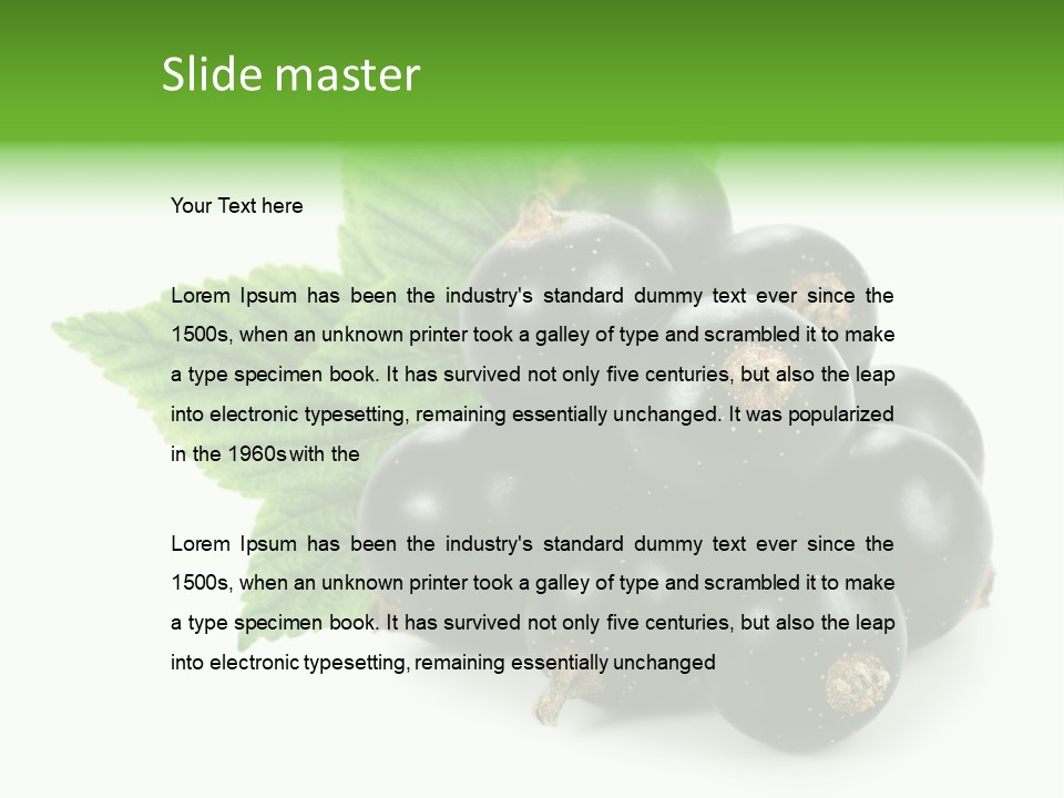 A Bunch Of Black Berries With Leaves On A White Background PowerPoint Template