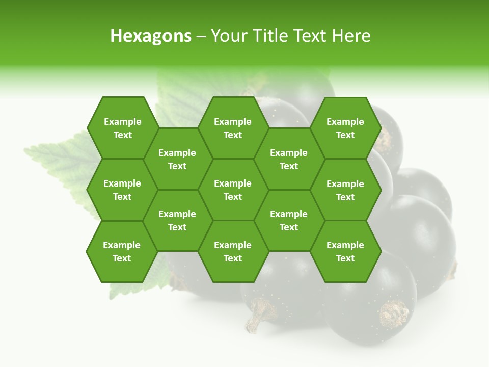 A Bunch Of Black Berries With Leaves On A White Background PowerPoint Template