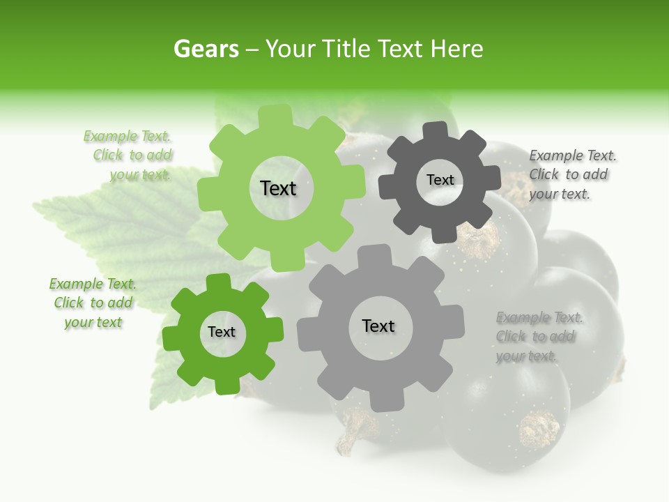 A Bunch Of Black Berries With Leaves On A White Background PowerPoint Template