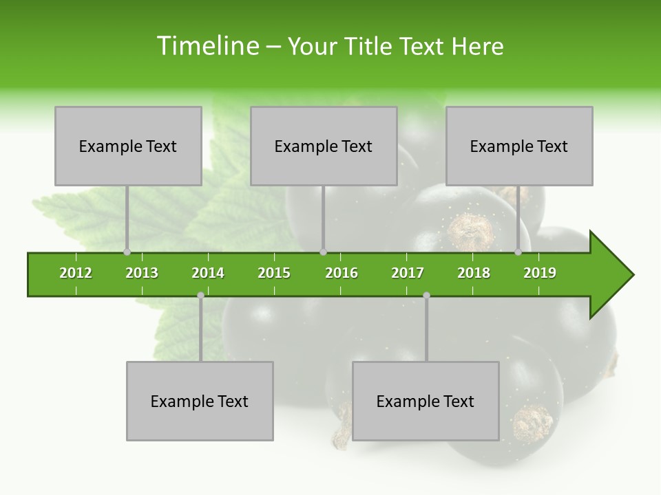 A Bunch Of Black Berries With Leaves On A White Background PowerPoint Template