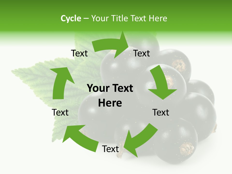 A Bunch Of Black Berries With Leaves On A White Background PowerPoint Template