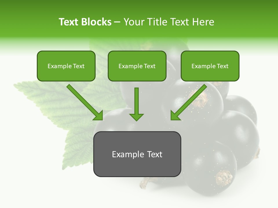 A Bunch Of Black Berries With Leaves On A White Background PowerPoint Template