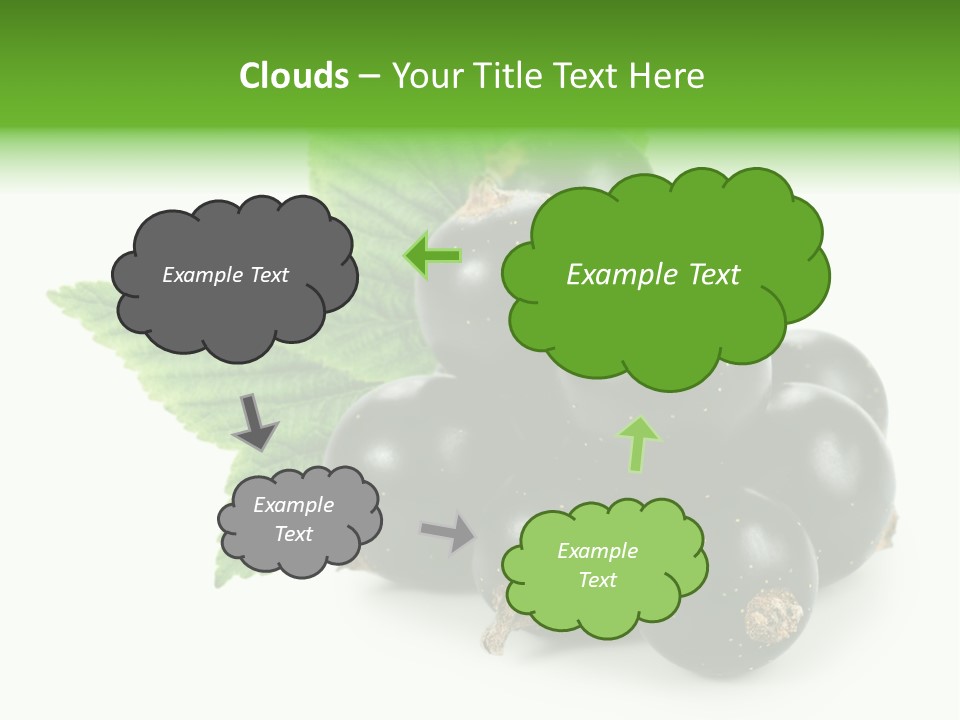 A Bunch Of Black Berries With Leaves On A White Background PowerPoint Template