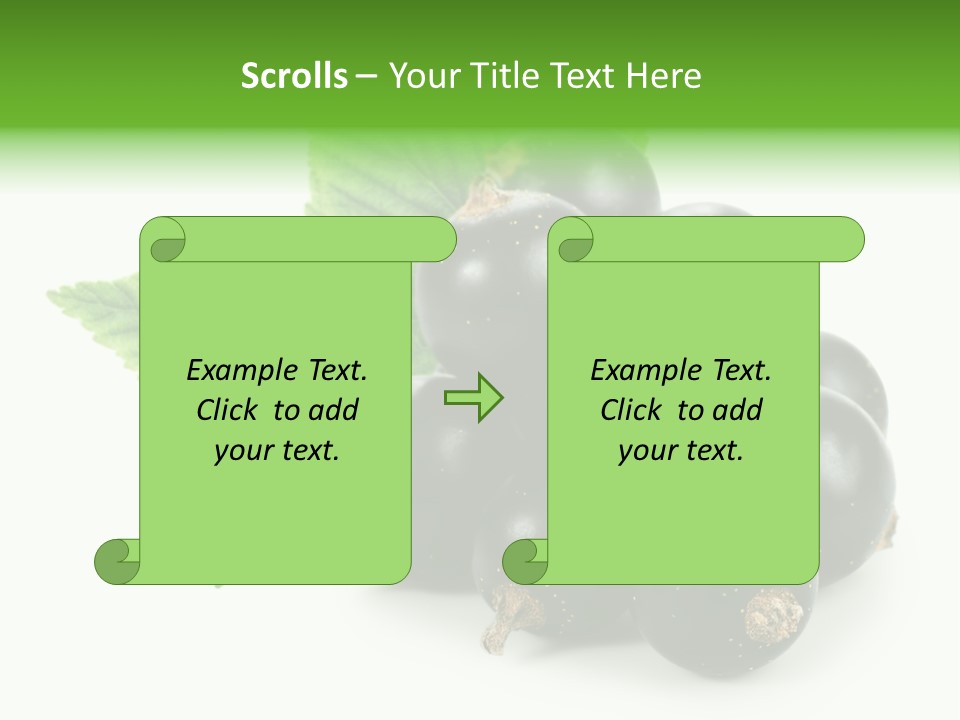 A Bunch Of Black Berries With Leaves On A White Background PowerPoint Template