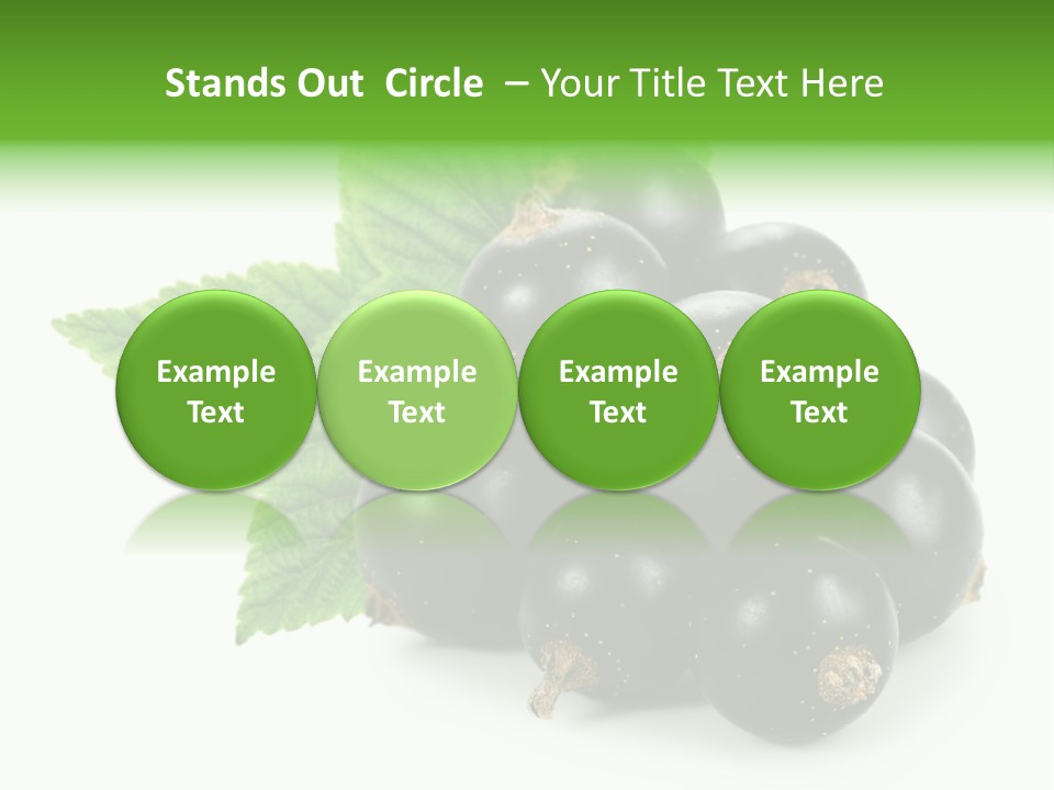 A Bunch Of Black Berries With Leaves On A White Background PowerPoint Template