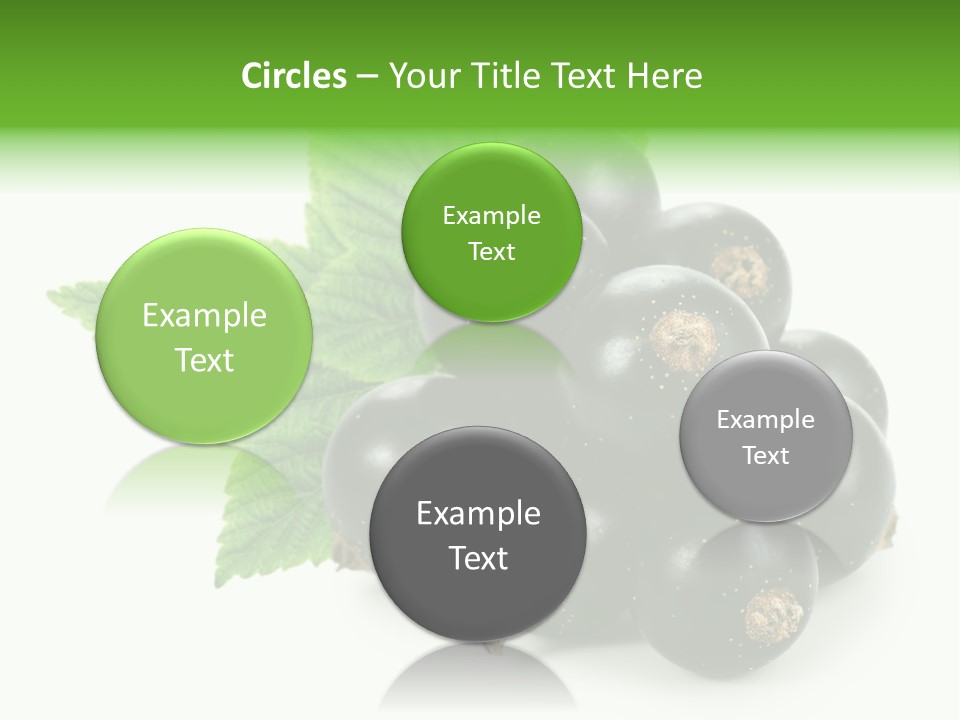 A Bunch Of Black Berries With Leaves On A White Background PowerPoint Template