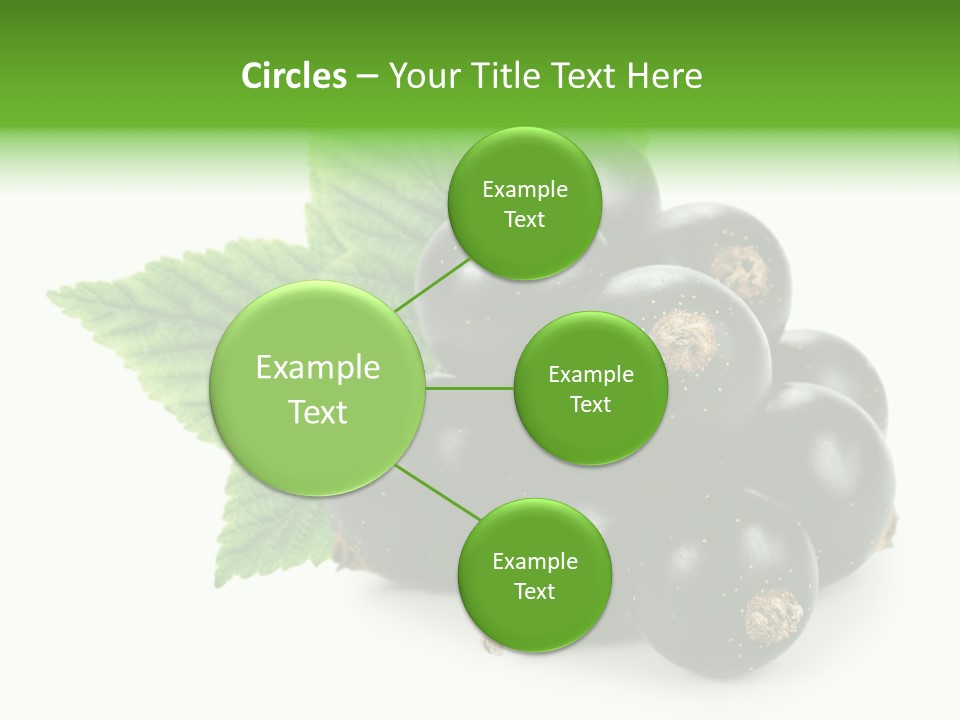 A Bunch Of Black Berries With Leaves On A White Background PowerPoint Template