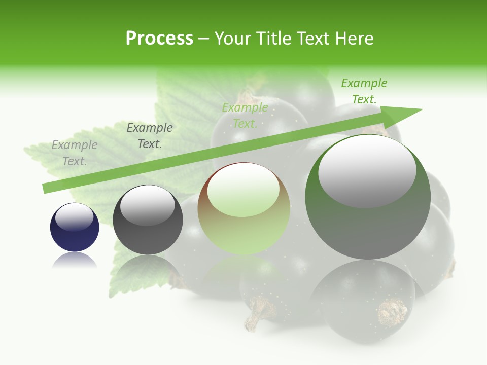 A Bunch Of Black Berries With Leaves On A White Background PowerPoint Template